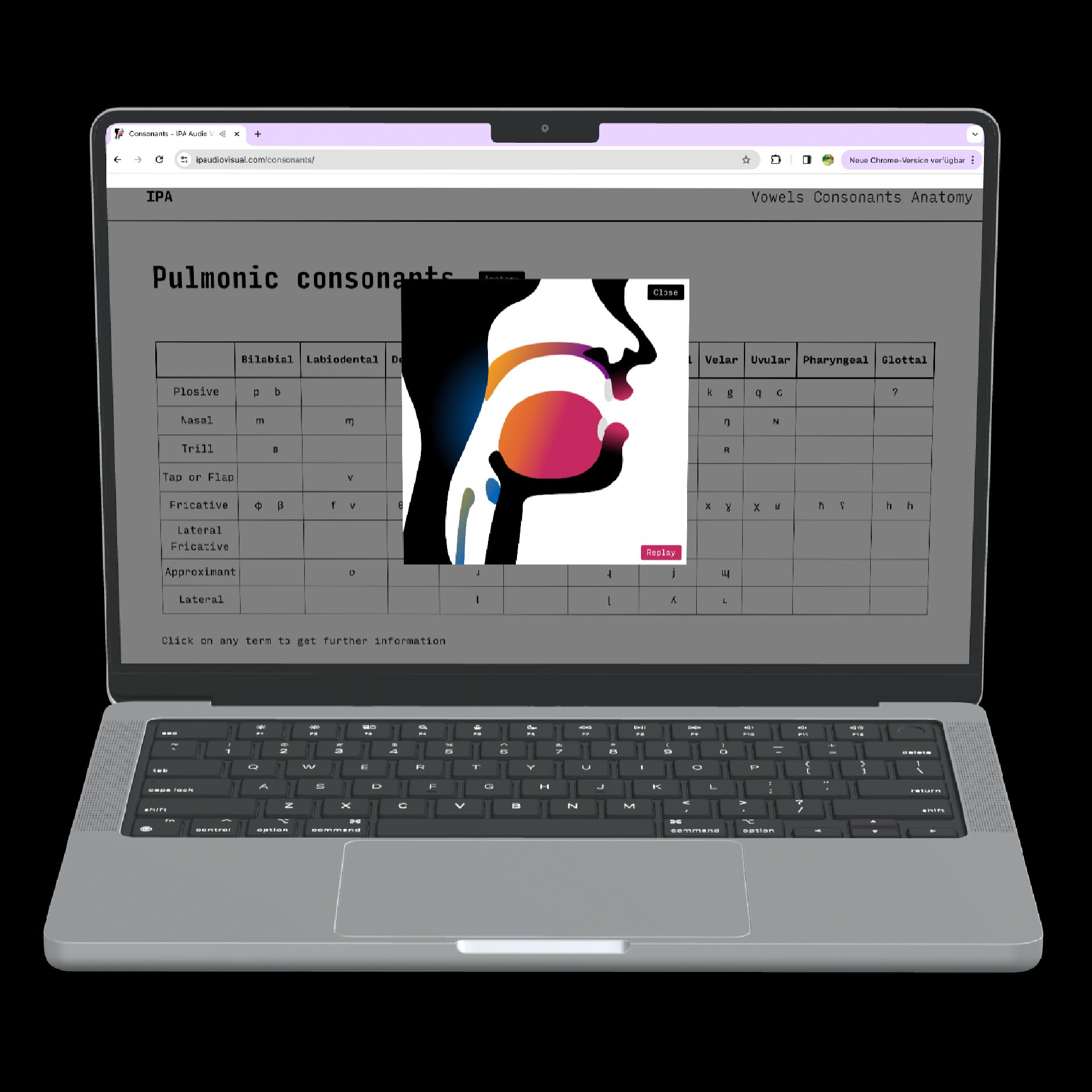 Description of the image